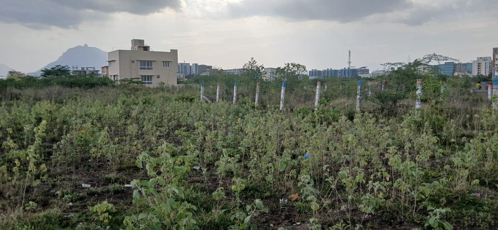  land for Sale in Saravanampatti, Keeranatham, Tamil Nadu, Coimbatore | 66 Cents