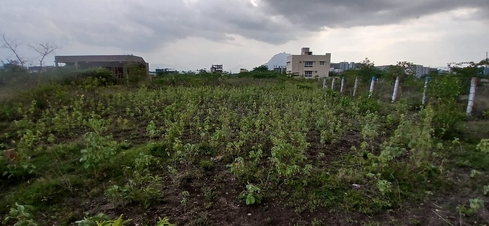 land for Sale in Saravanampatti, Keeranatham, Tamil Nadu, Coimbatore | 66 Cents