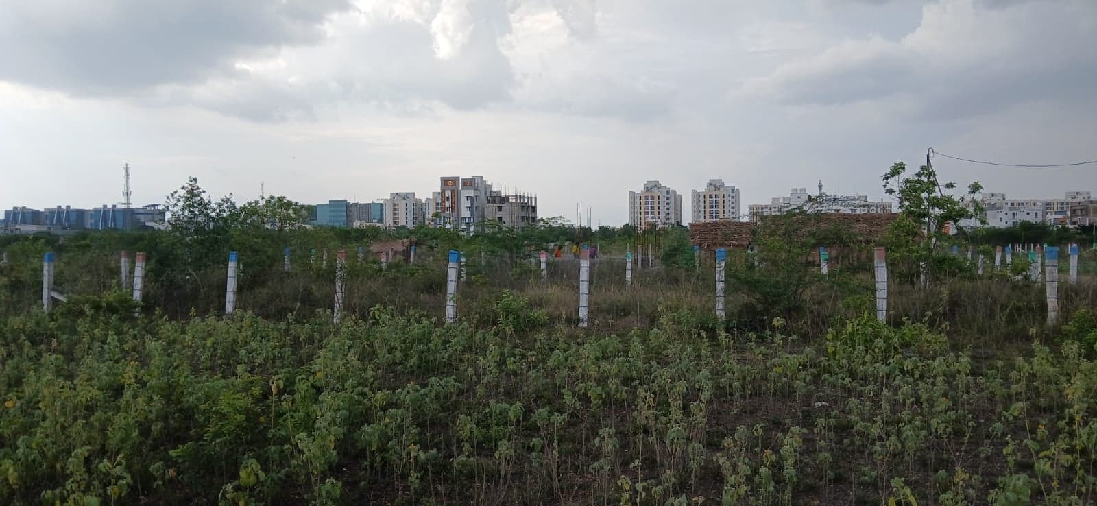  land for Sale in Saravanampatti, Keeranatham, Tamil Nadu, Coimbatore | 66 Cents